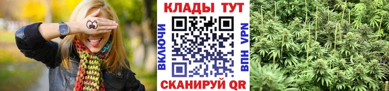 Виды наркоты Камышлов COCAIN  А ПВП  Галлюциногенные грибы  Меф мяу мяу  БУТИРАТ  АМФЕТАМИН  ГАШ 