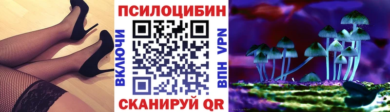 Псилоцибиновые грибы ЛСД  Камышлов 